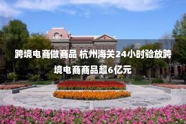 跨境电商做商品 杭州海关24小时验放跨境电商商品超6亿元