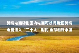 跨境电商转到国内电商可以吗 我国跨境电商进入“二十大”时间 全球看好中国出口市场