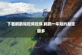 下载鹈鹕短视频视频 鹈鹕一年短约敲定朗多