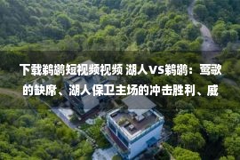 下载鹈鹕短视频视频 湖人VS鹈鹕：莺歌的缺席、湖人保卫主场的冲击胜利、威少替补