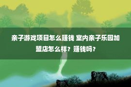 亲子游戏项目怎么赚钱 室内亲子乐园加盟店怎么样？赚钱吗？