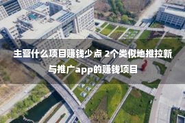 主营什么项目赚钱少点 2个类似地推拉新与推广app的赚钱项目