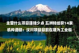 主营什么项目赚钱少点 五洲特纸获14家机构调研：汉川项目目前在建为工业包装纸产线，预计2024年底投产（附调研问答）