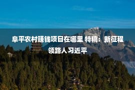 阜平农村赚钱项目在哪里 特稿：新征程领路人习近平