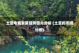 土豆电商发展趋势图片分析 (土豆的市场分析)