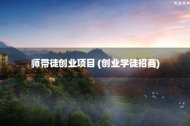 师带徒创业项目 (创业学徒招商)