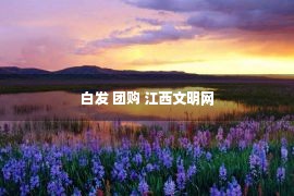 白发 团购 江西文明网