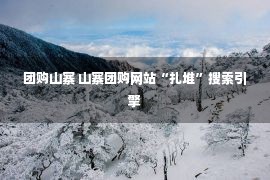 团购山寨 山寨团购网站“扎堆”搜索引擎