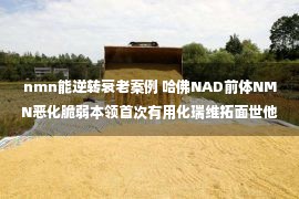 nmn能逆转衰老案例 哈佛NAD前体NMN恶化脆弱本领首次有用化瑞维拓面世他日人能活多久