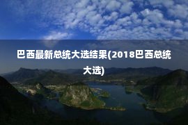 巴西最新总统大选结果(2018巴西总统大选)