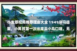 小生意视频推荐理由大全 1949年马德里，小男孩第一次出来卖小鸟口哨，无人光顾他的小生意