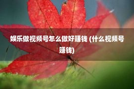 娱乐做视频号怎么做好赚钱 (什么视频号赚钱)