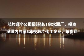 芯片哪个公司最赚钱:1家水泥厂，投资没国内的第3年夜芯片代工企业，年夜赔了1笔