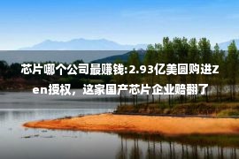 芯片哪个公司最赚钱:2.93亿美圆购进Zen授权，这家国产芯片企业赔翻了