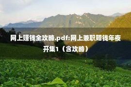 网上赚钱全攻略.pdf:网上兼职赔钱年夜开集1（含攻略）