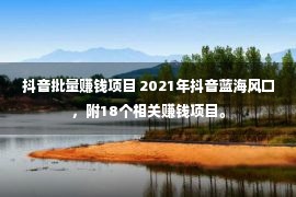 抖音批量赚钱项目 2021年抖音蓝海风口，附18个相关赚钱项目。