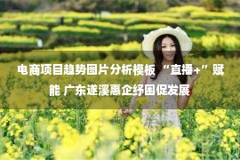 电商项目趋势图片分析模板 “直播+”赋能 广东遂溪惠企纾困促发展