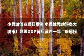 小县城创业项目案例 小县城凭啥跻身大城市？超级GDP背后藏着一部“琅琊榜”