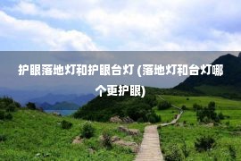 护眼落地灯和护眼台灯 (落地灯和台灯哪个更护眼)