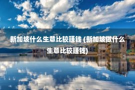 新加坡什么生意比较赚钱 (新加坡做什么生意比较赚钱)