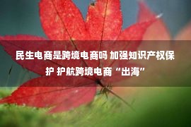 民生电商是跨境电商吗 加强知识产权保护 护航跨境电商“出海”