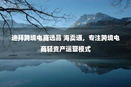 迪拜跨境电商选品 海卖通，专注跨境电商轻资产运营模式