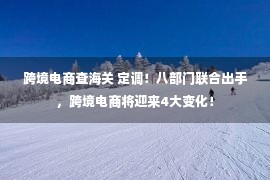 跨境电商查海关 定调！八部门联合出手，跨境电商将迎来4大变化！