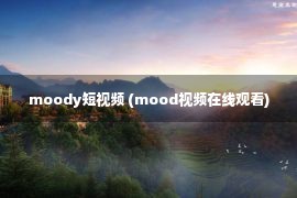 moody短视频 (mood视频在线观看)