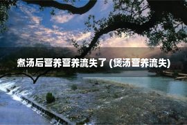 煮汤后营养营养流失了 (煲汤营养流失)