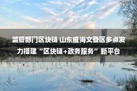 监管部门区块链 山东威海文登区多点发力搭建“区块链+政务服务”新平台