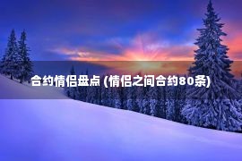 合约情侣盘点 (情侣之间合约80条)