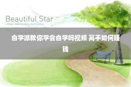 自学派教你学会自学吗视频 高手如何赚钱