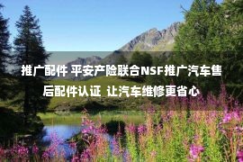 推广配件 平安产险联合NSF推广汽车售后配件认证  让汽车维修更省心