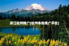 浙江杭州推广(杭州本地推广平台)