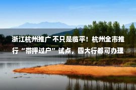 浙江杭州推广 不只是临平！杭州全市推行“带押过户”试点，四大行都可办理