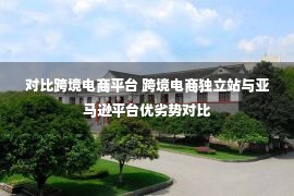 对比跨境电商平台 跨境电商独立站与亚马逊平台优劣势对比