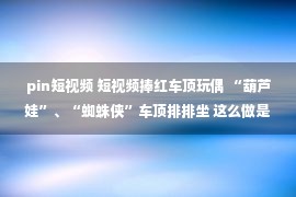 pin短视频 短视频捧红车顶玩偶 “葫芦娃”、“蜘蛛侠”车顶排排坐 这么做是违法的!