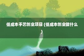 低成本手艺创业项目 (低成本创业做什么)