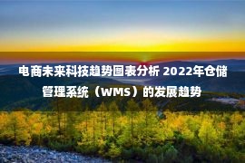 电商未来科技趋势图表分析 2022年仓储管理系统（WMS）的发展趋势