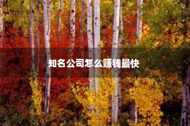 知名公司怎么赚钱最快 