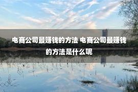 电商公司最赚钱的方法 电商公司最赚钱的方法是什么呢