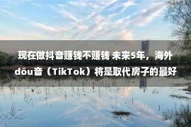 现在做抖音赚钱不赚钱 未来5年，海外dǒu音（TikTok）将是取代房子的最好投资