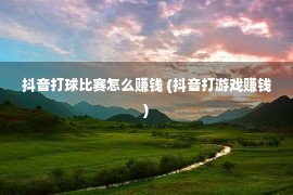 抖音打球比赛怎么赚钱 (抖音打游戏赚钱)