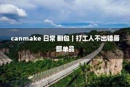 canmake 日常 翻包｜打工人不出错唇部单品