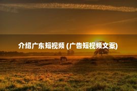 介绍广东短视频 (广告短视频文案)