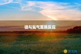 镁与氢气置换反应 