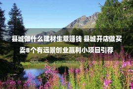 县城做什么建材生意赚钱 县城开店做买卖8个有远景创业赢利小项目引荐