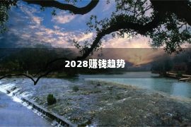 2028赚钱趋势 