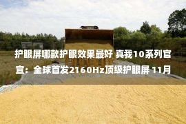 护眼屏哪款护眼效果最好 真我10系列官宣：全球首发2160Hz顶级护眼屏 11月9日见