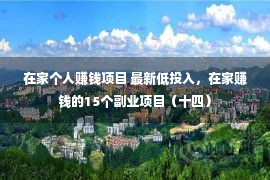 在家个人赚钱项目 最新低投入，在家赚钱的15个副业项目（十四）